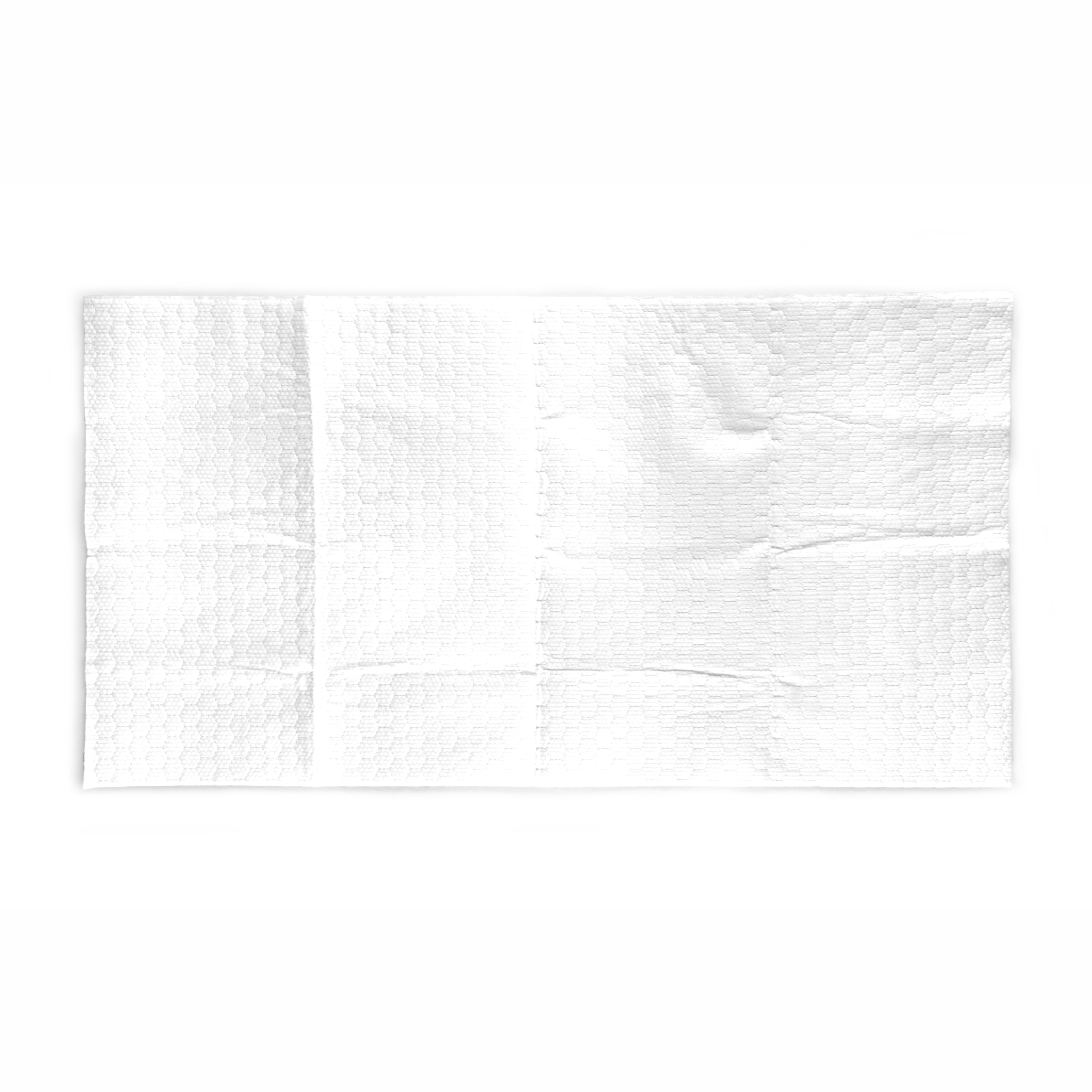 Barkbutler x Fofos Disposable Towels for Dogs image 6