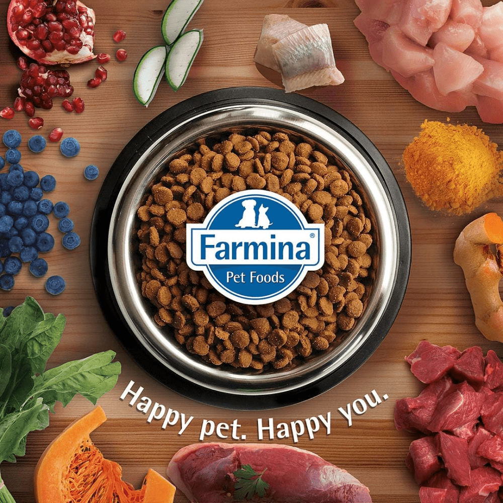 Farmina N&D Quinoa Quail Coconut & Turmeric Skin & Coat All Breed Dog Dry Food image 7