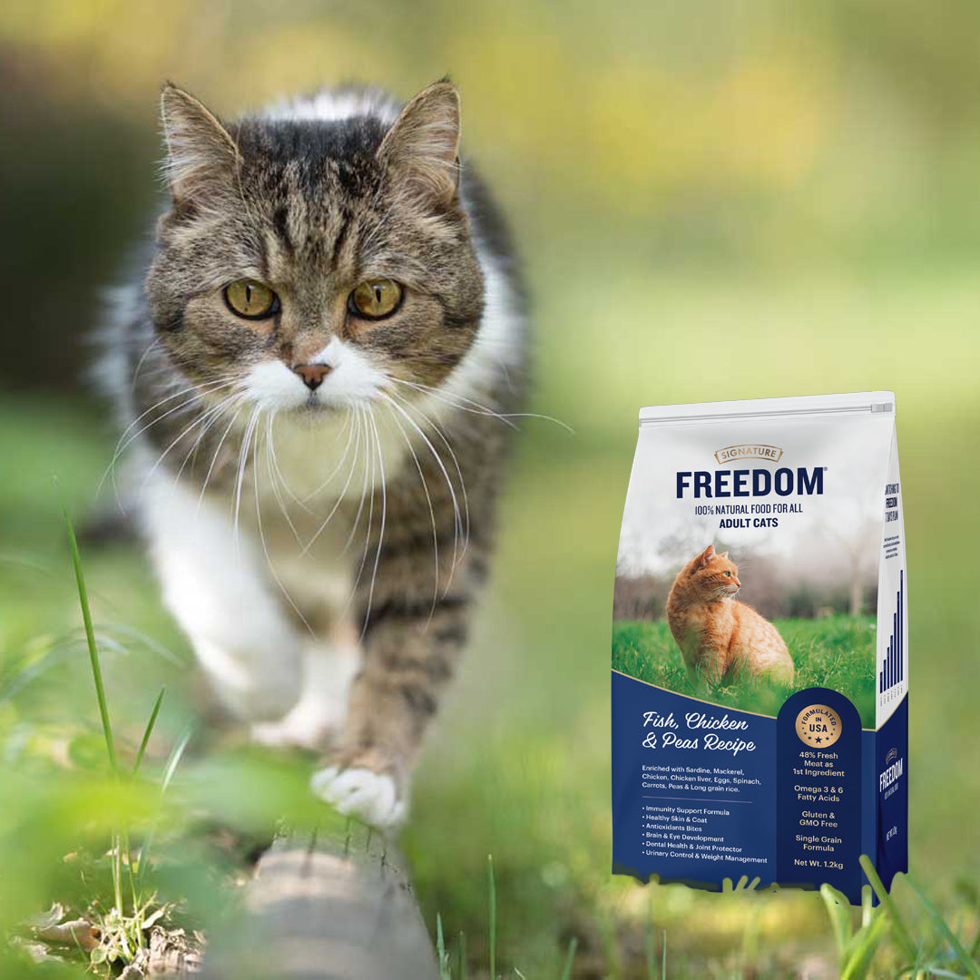 Signature Freedom Fish, Chicken and Peas Recipe Adult Cat Dry Food (50g) image 6