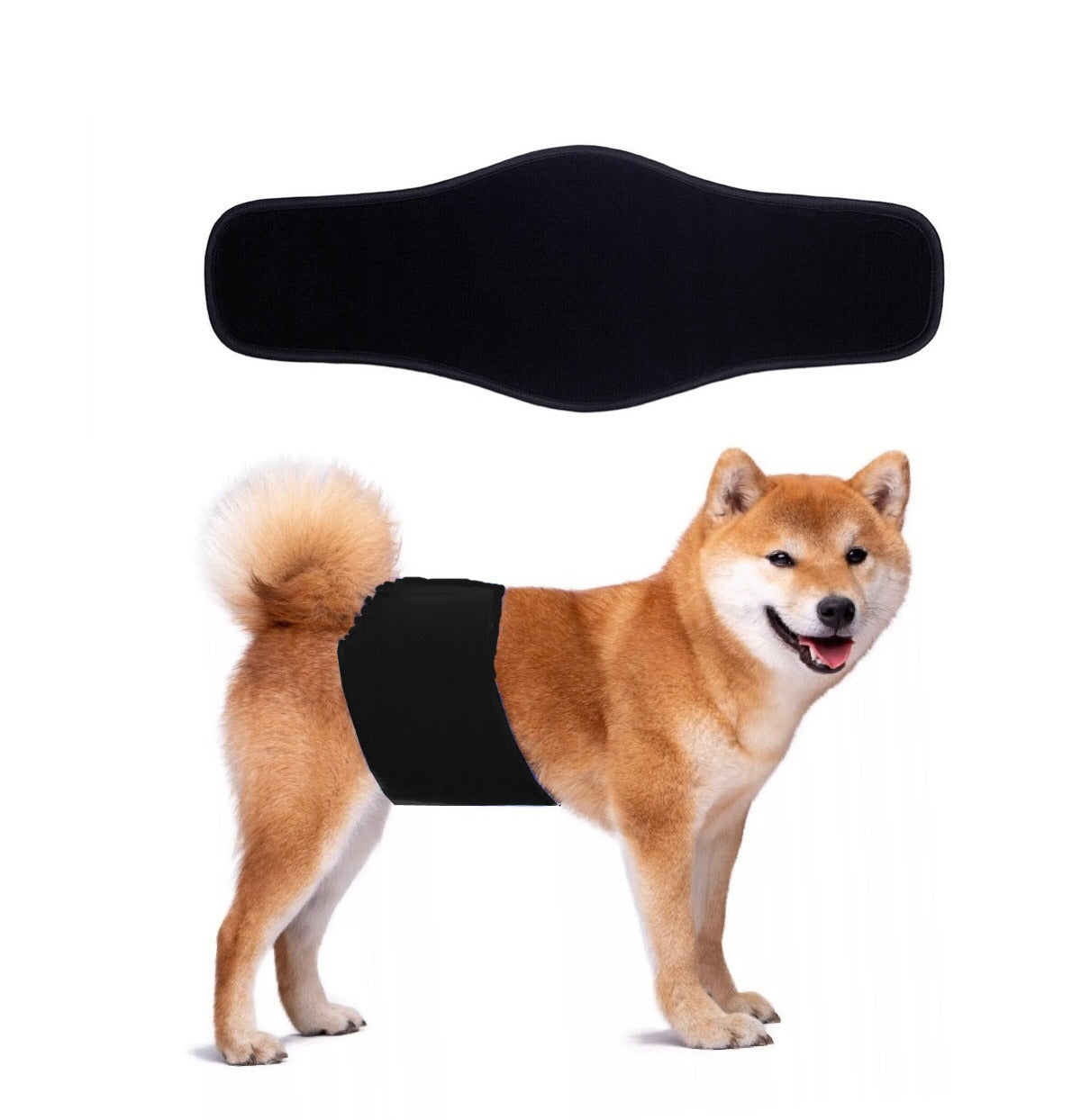 KUTKUT Diapers for Male Dogs (Black) image 2