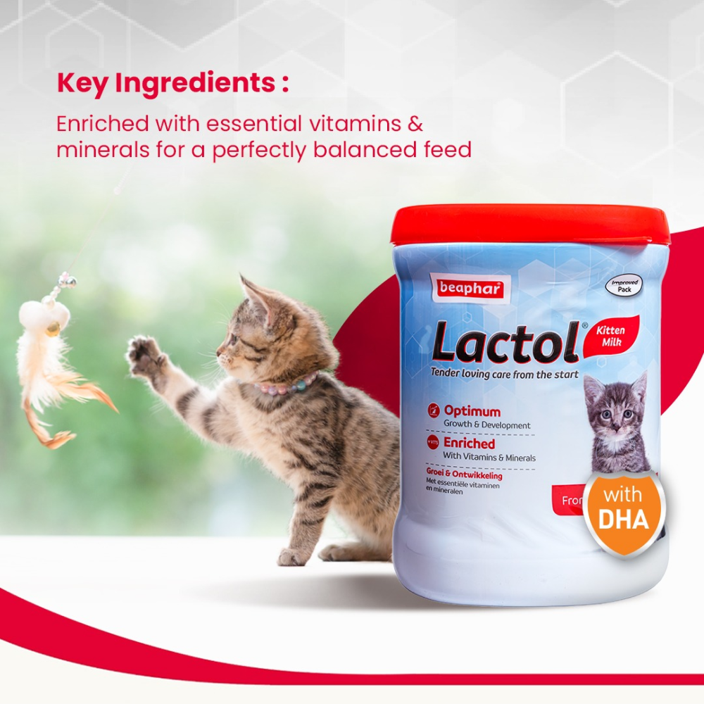 Beaphar Lactol Milk Replacement Powder for Kitten image 2