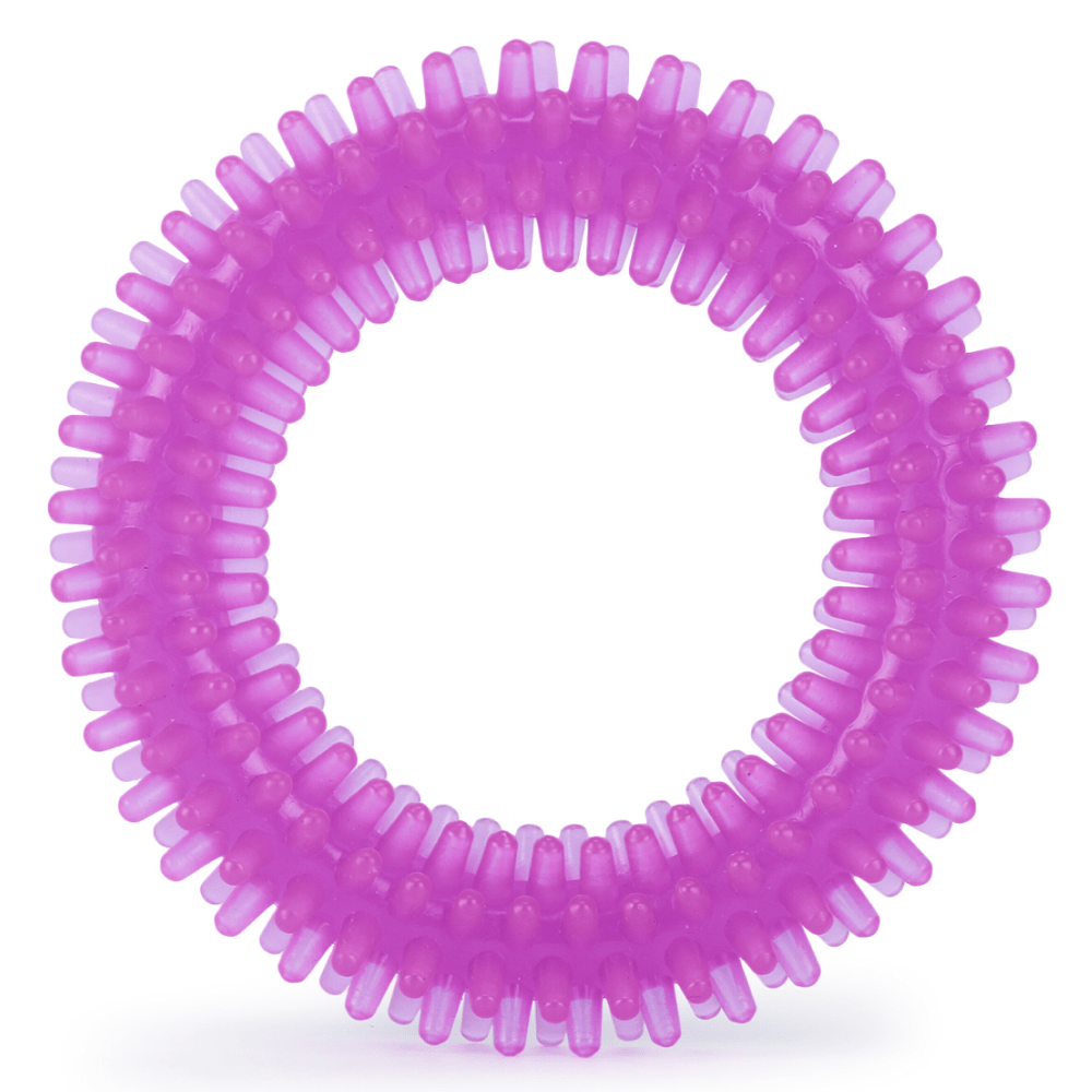 Basil Teething Ring Chew Toy for Dogs | For Medium Chewers image 4