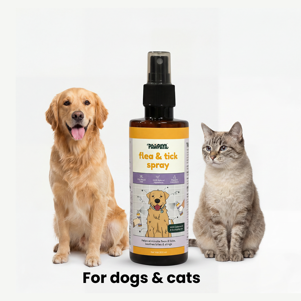 Pawpaya  Flea and Tick Spray for Dogs and Cats image 4
