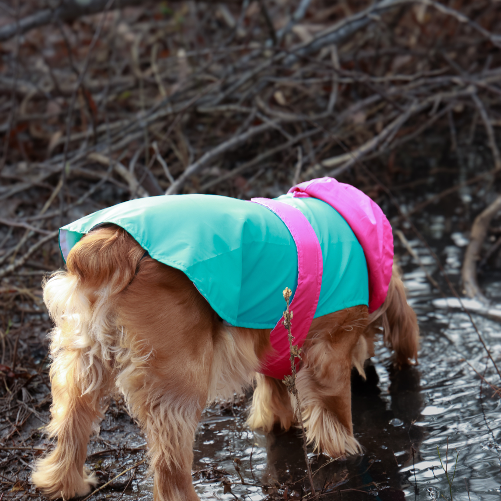Pet Set Go Splash Waterproof Raincoat for Dogs (Aqua Pink) image 8