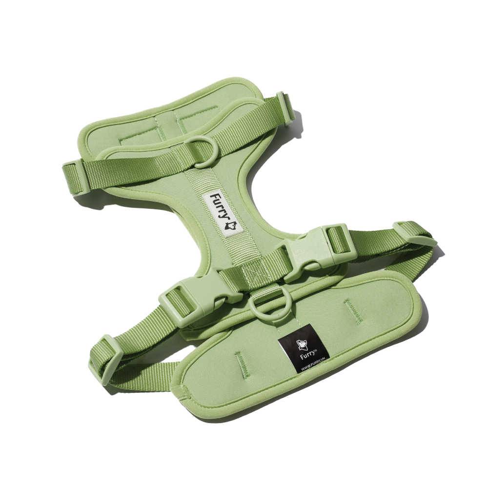 Furry & Co Bold Harness for Dogs (Matcha Latte) image 1