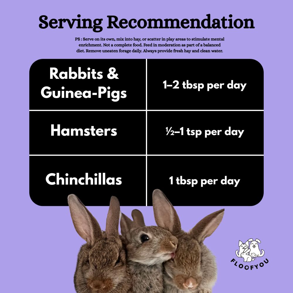 FloofYou Fibre Rich Forage Mix Rabbit Treats image 4