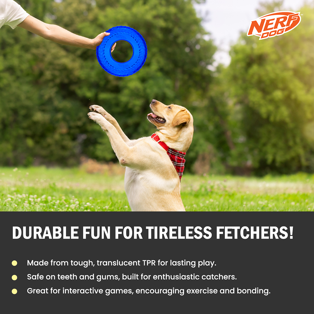 Nerf Dog Translucent Tire Flyer TPR Toy for Dogs (Blue) image 5