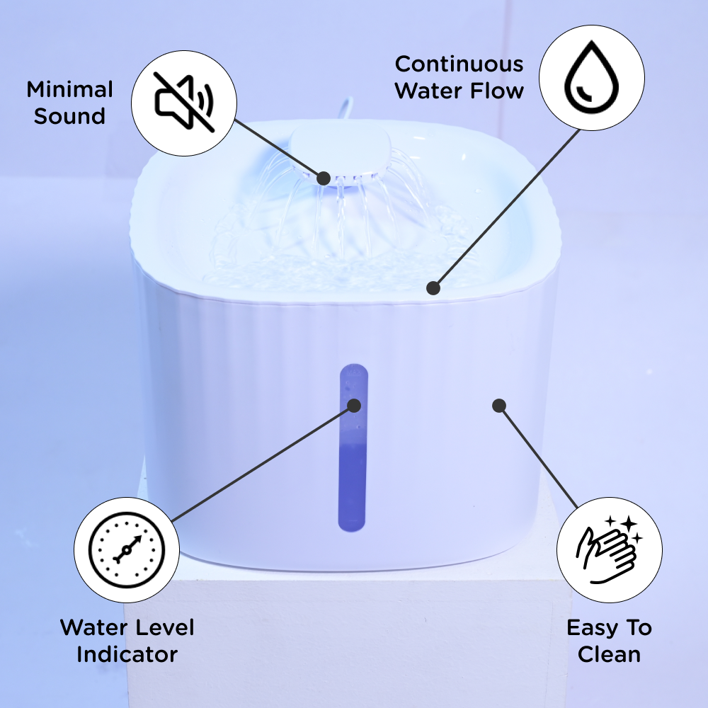Skatrs Water Fountain with Adapter for Dogs and Cats (White) image 3