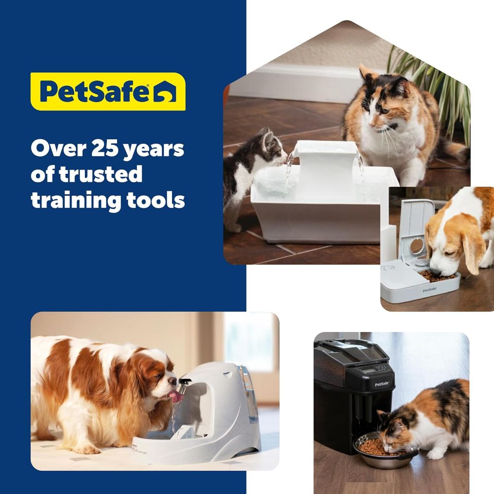 PetSafe 2 Meal Automatic Pet Feeder for Dogs and Cats image 2