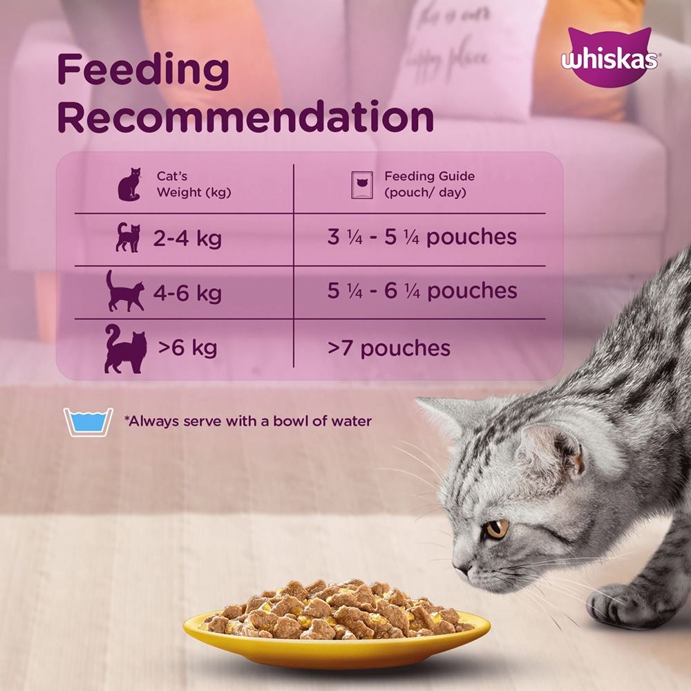 Whiskas Tuna in Jelly Meal and Chicken Gravy Adult Cat Wet Food Combo image 8