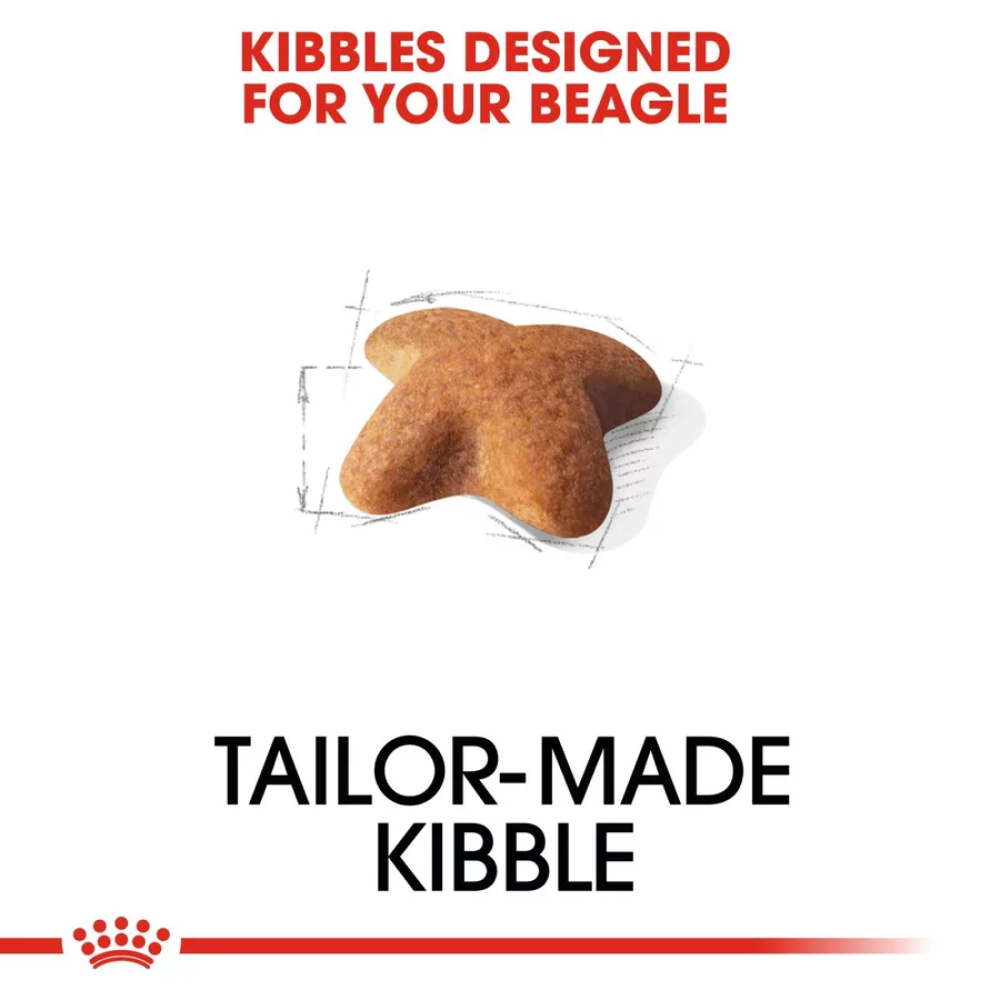 Royal Canin Beagle Adult Dog Dry Food image 6