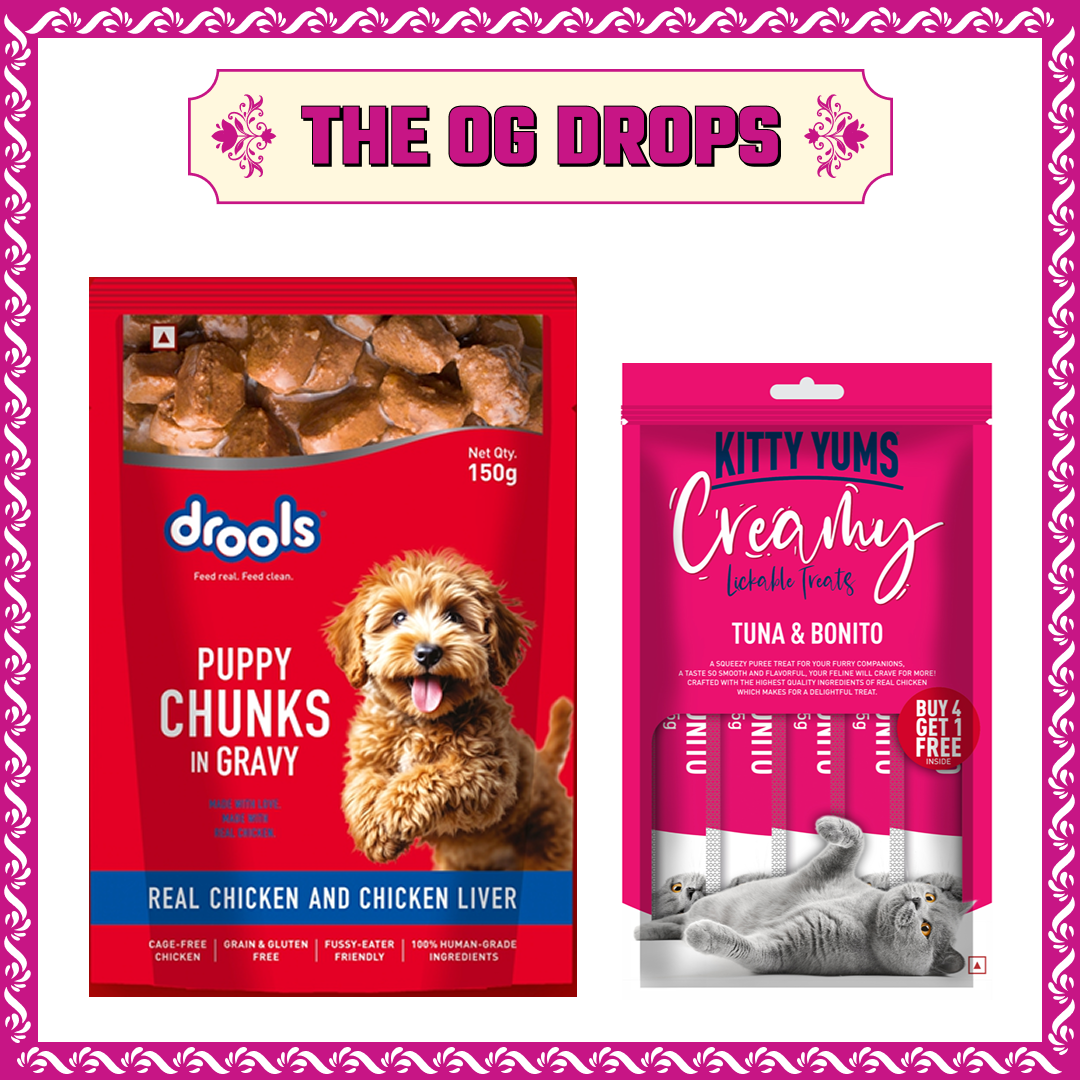 Drools Real Chicken & Chicken Liver Chunks in Gravy Puppy Dog Wet Food image 3