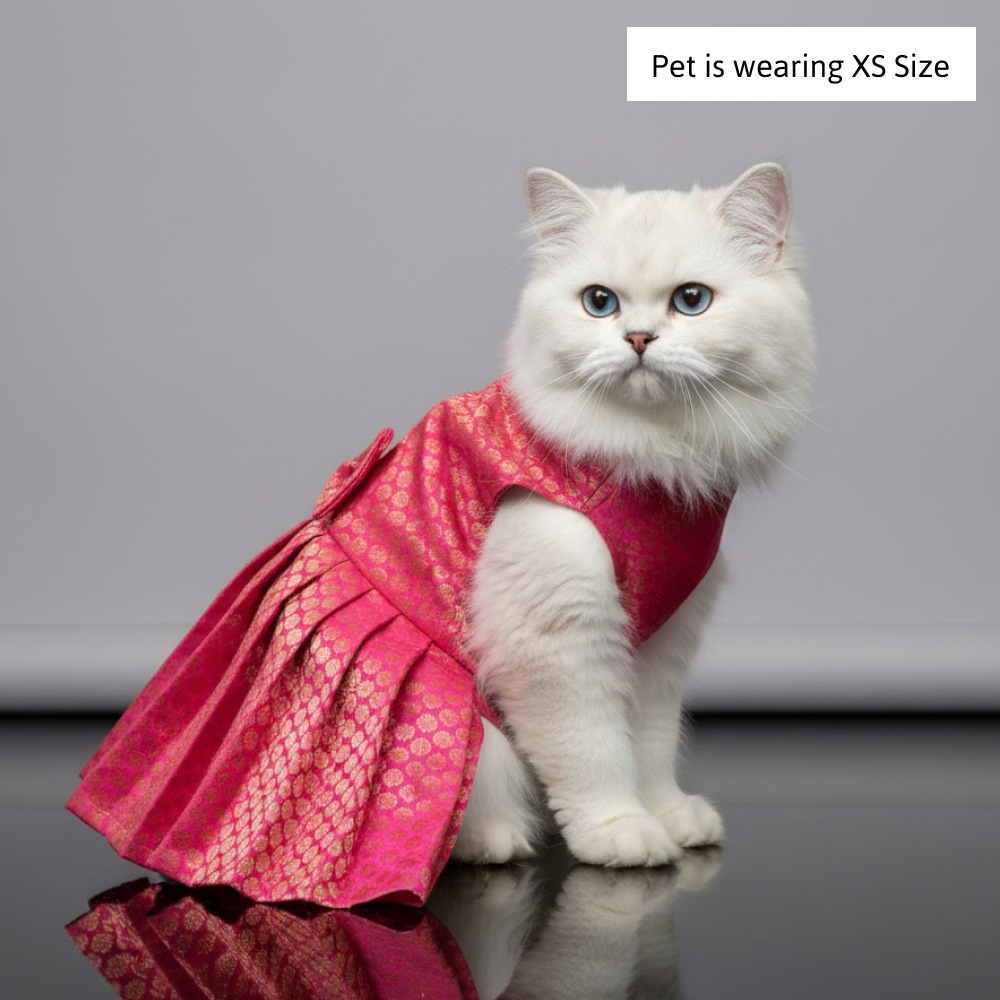 Skatrs Brocade Gold Printed Dress for Dogs and Cats (Pink) image 5