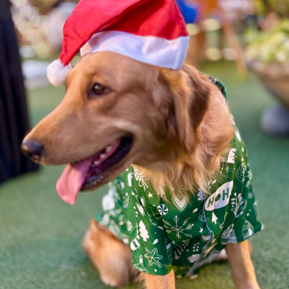 15 Furries Winter Wonderland Shirt for Dogs