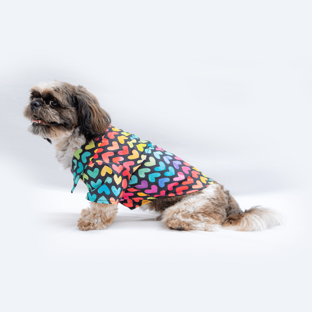Pawgypets Multi Heart Casual Shirt for Dogs and Cats image 2