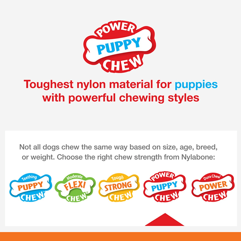 Nylabone Puppy Power Chew Toy for Dogs (Orange) image 6