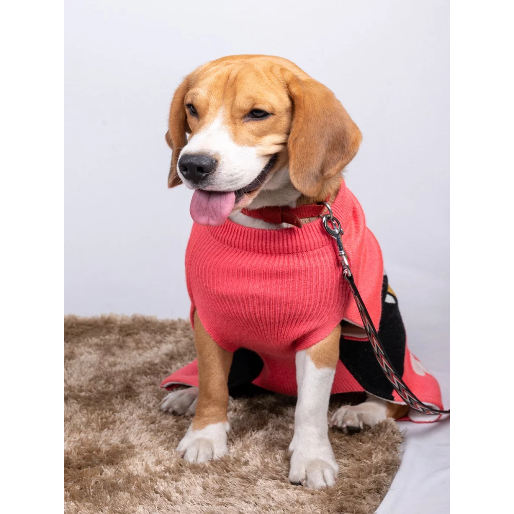 Petsnugs Bones and Paws Sweater for Dogs and Cats (Pink) image 4