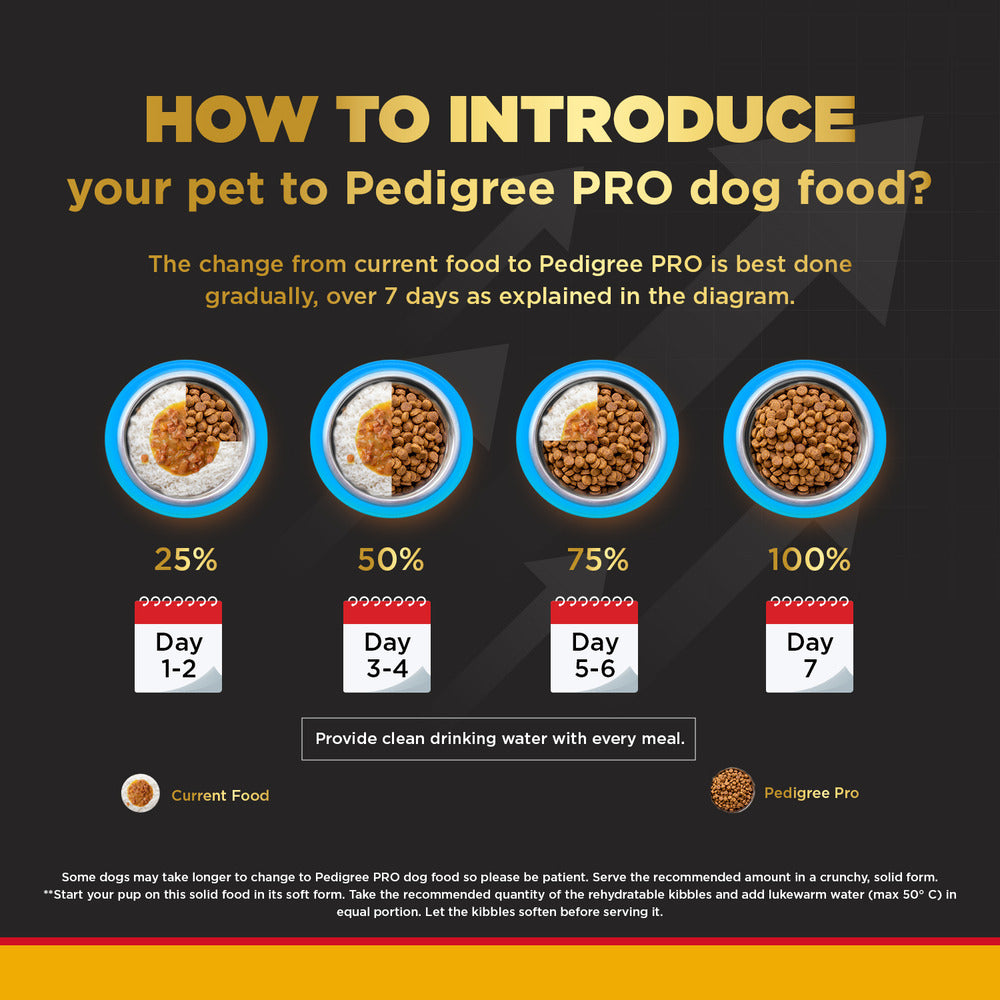 Pedigree PRO Expert Nutrition Adult Dry Food for Small Breed and Pedigree Dentastix Oral Care for Adult (Small Breed of 5 to 10 kg) Treats Combo for Dogs image 8