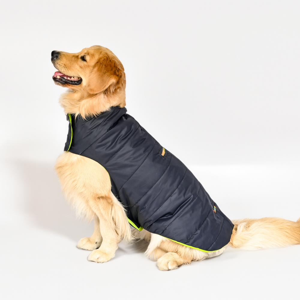 Skatrs Midnight Blue Puffer Reversible Jacket for Dogs and Cats | With Adjustable Baby Velcro image 2