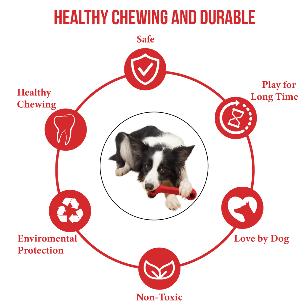 Goofy Tails Classic Interactive Rubber Bone Toy for Dogs (Red) image 3
