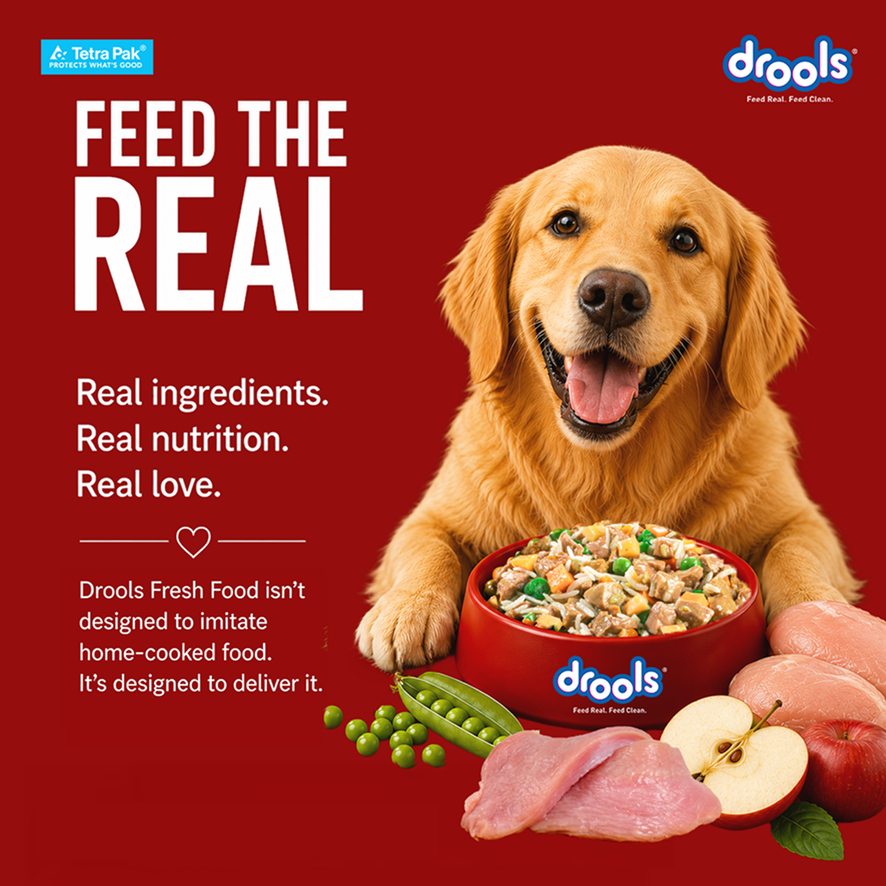 Drools Tetra Pack Real Chicken Turkey Dog Fresh Food image 8