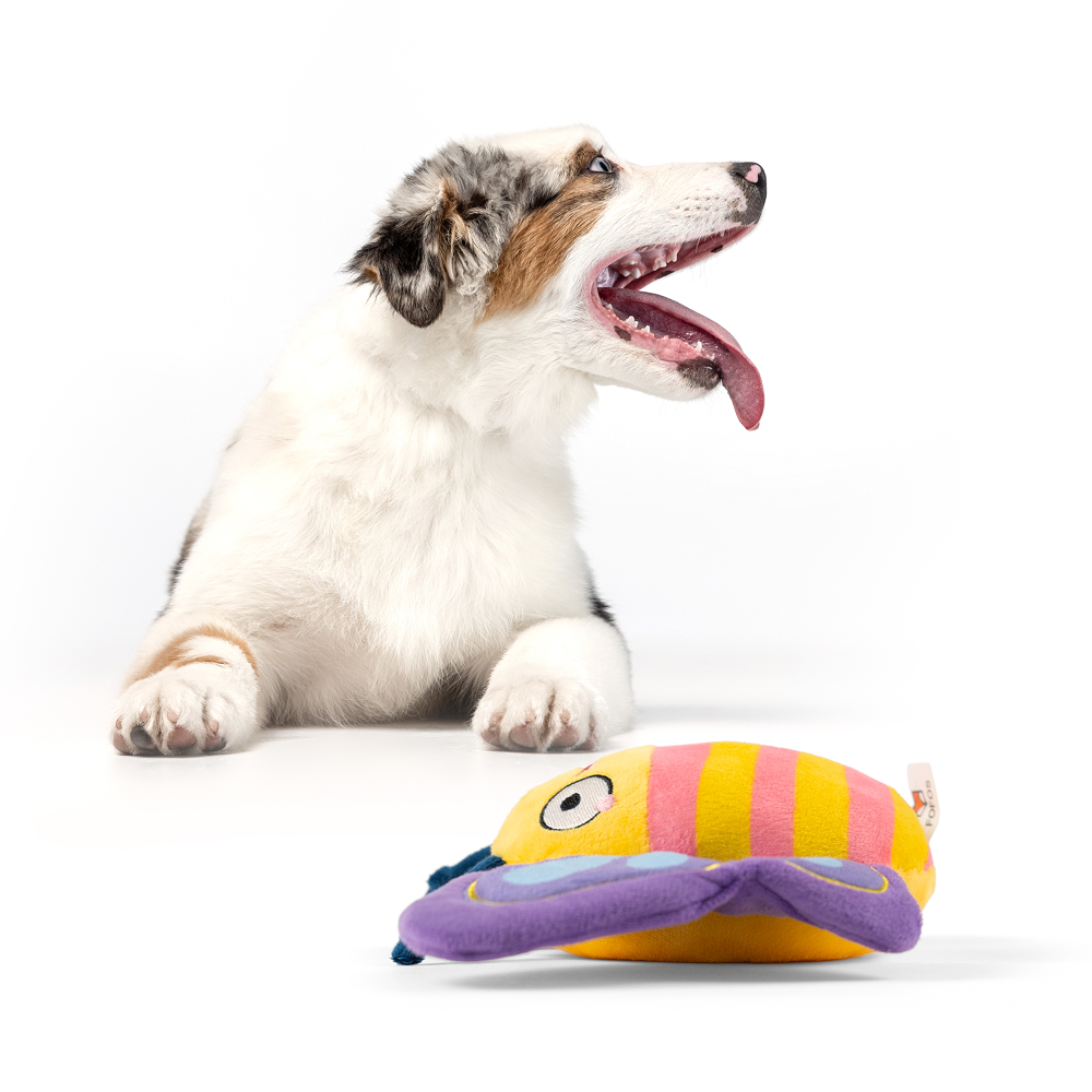 Barkbutler x Fofos Garden Butterfly Plush Toy for Dogs image 8