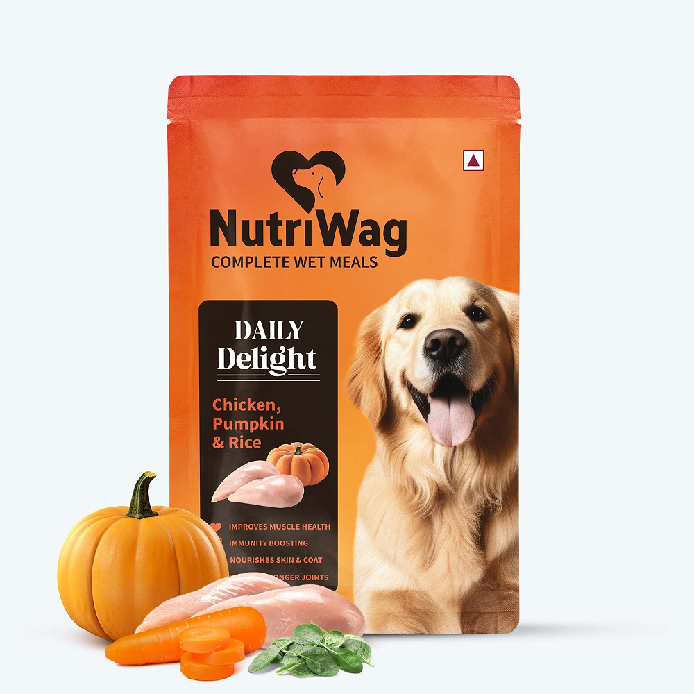 NutriWag Daily Delight Chicken, Pumpkin & Rice Dog Wet Food image 1