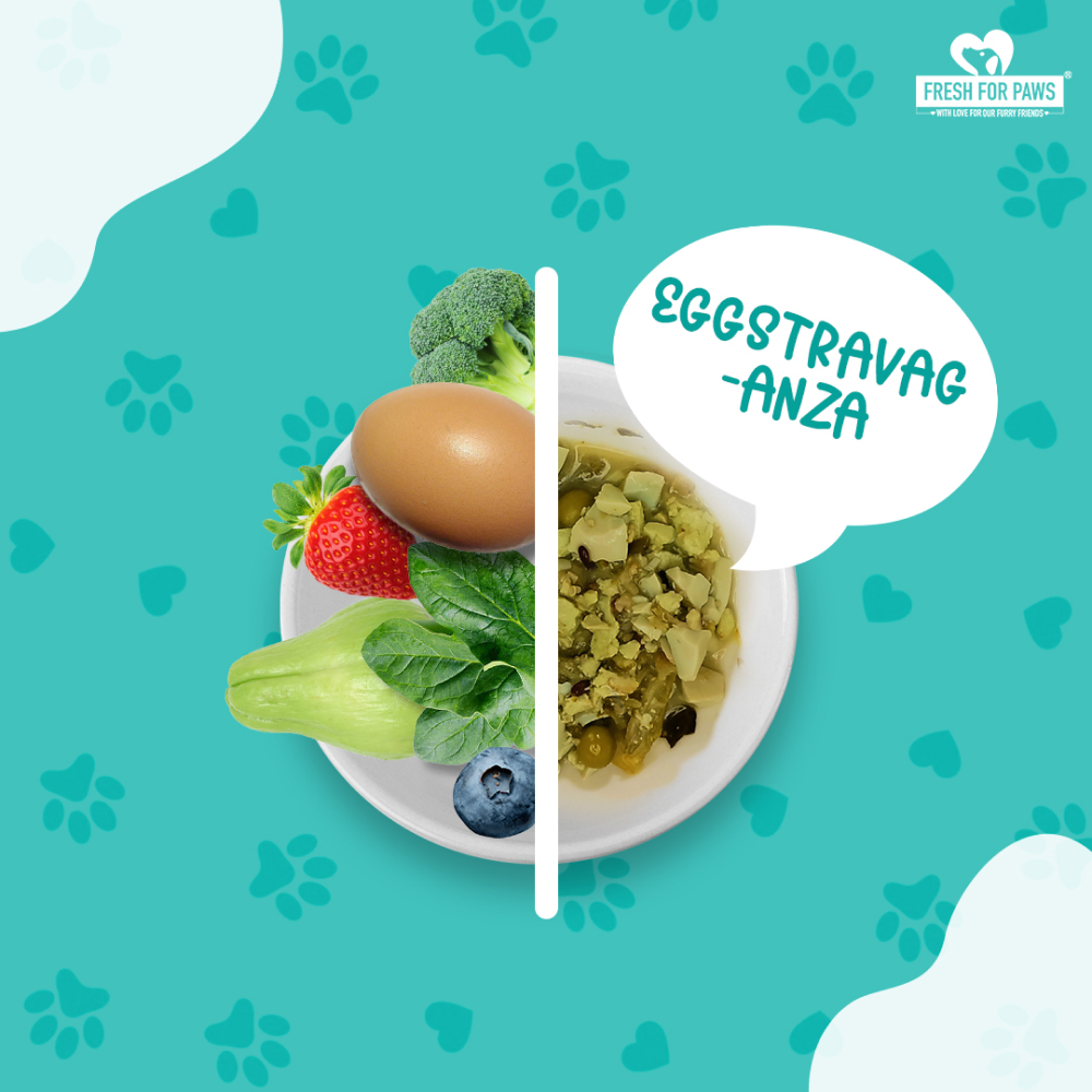 Fresh For Paws Eggstravaganza Dog Wet Food (300g) image 2