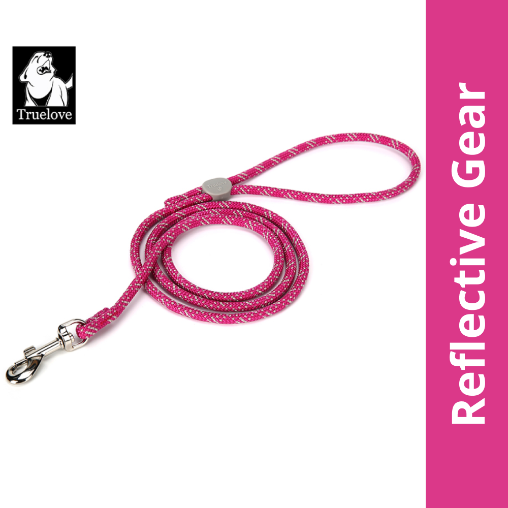 Truelove High Density Reflective Rope Webbing Leash for Dogs (Fuchsia)
