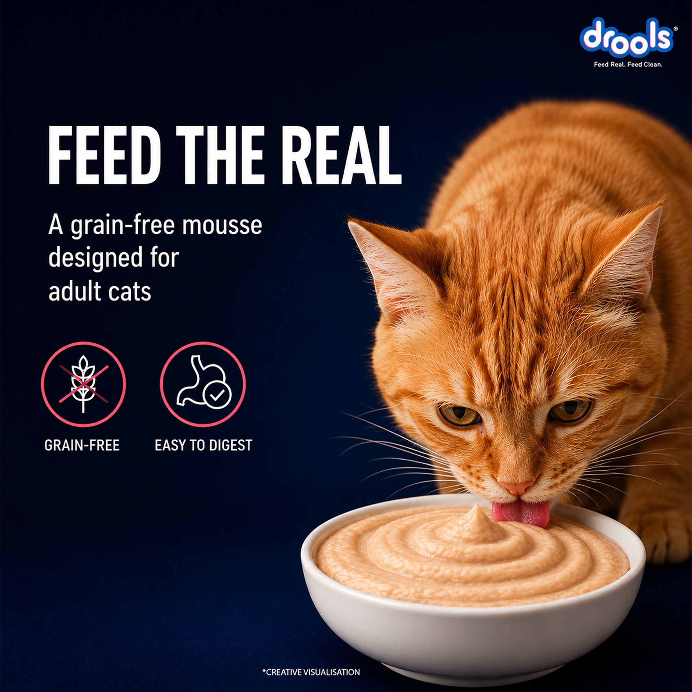 Drools Salmon Mousse Adult Cat Wet Food image 6