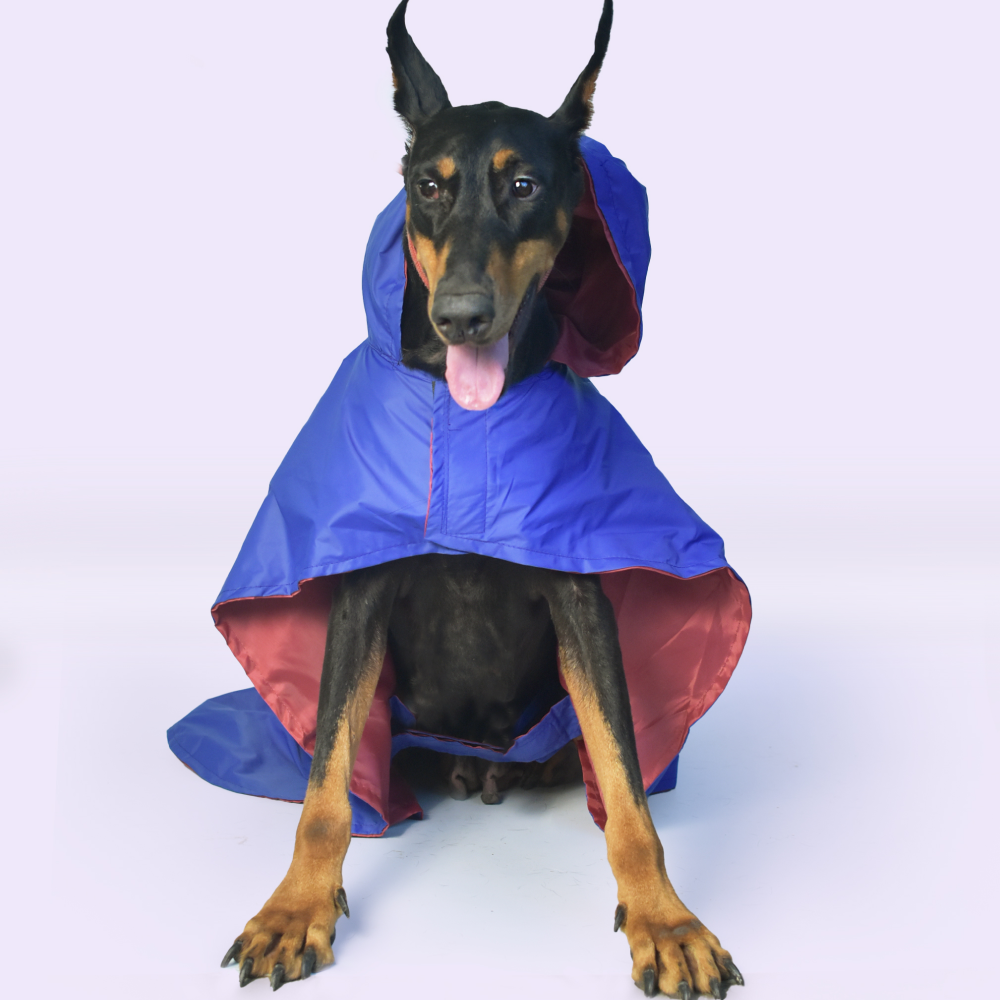 Pet Set Go Cape Style Raincoat for Dogs (Blue) image 10