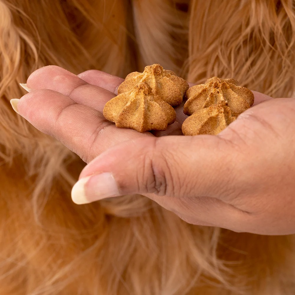 HUFT Gluten Free Goat Milk & Blueberry Cookie Dog Treats image 8