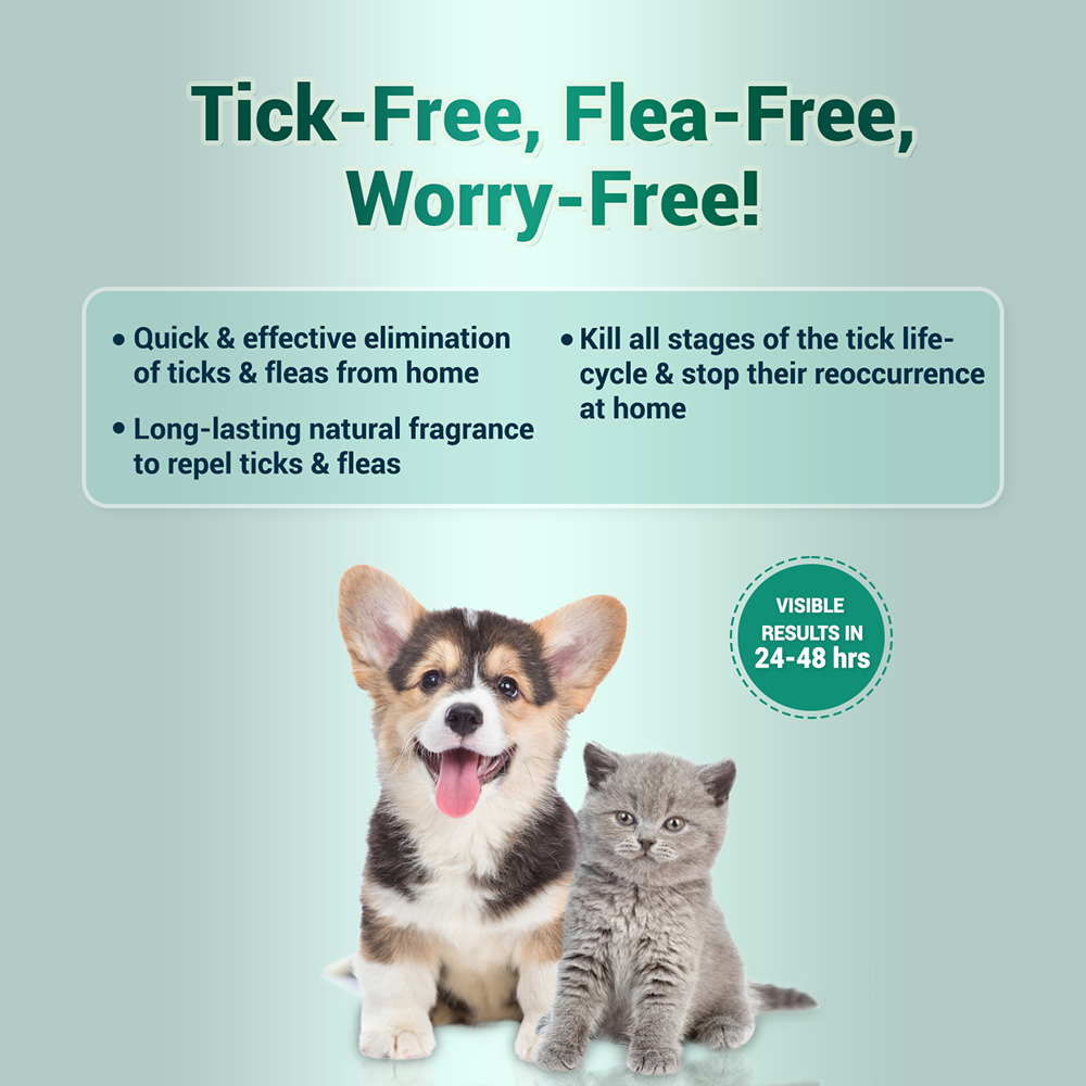 Natural Remedies Nomo Ticks Home Spray for Dogs and Cats image 2
