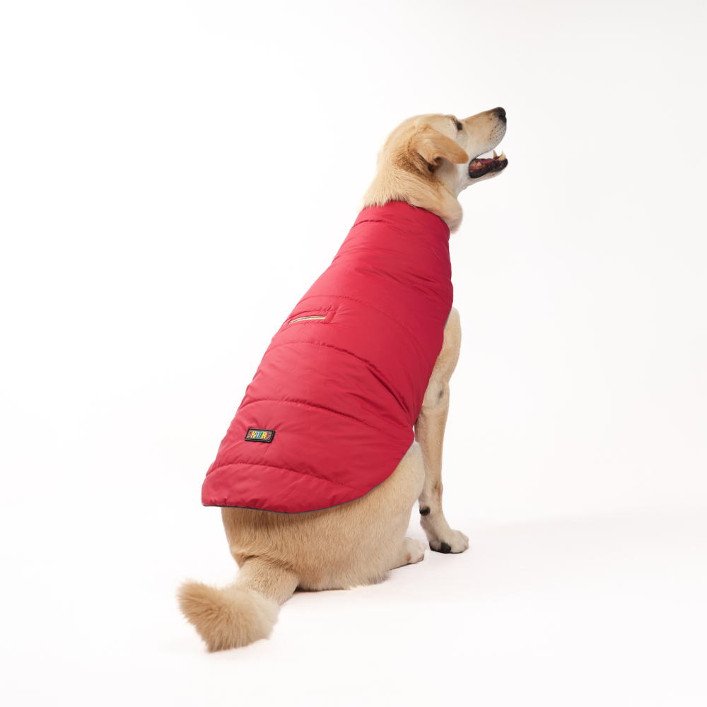 Skatrs Cherry Snuggle Puffer Reversible Jacket for Dogs and Cats image 8