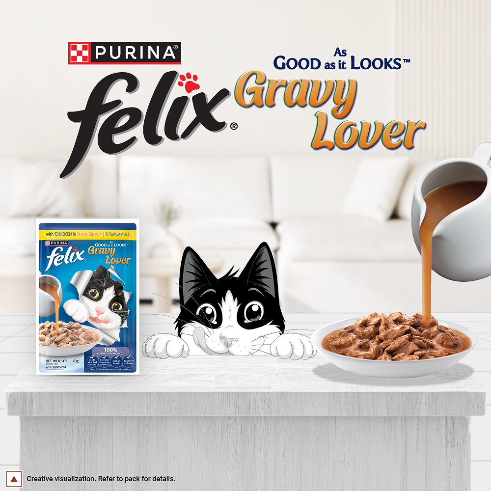 Purina Felix Gravy Lover Chicken Chunks Adult Complete and Balanced Cat Wet Food image 5