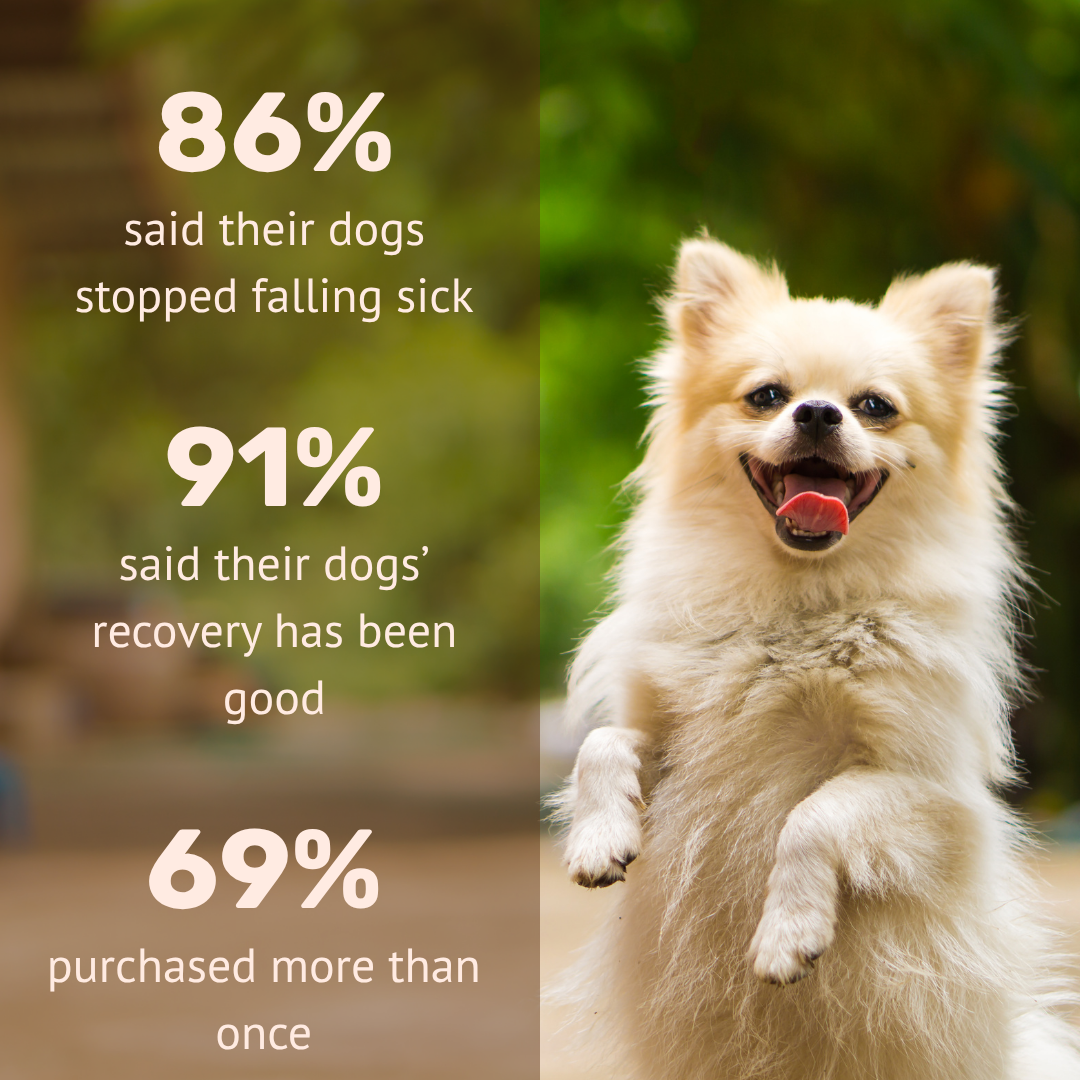 Absolut Pet Postbiotics to Boost Immunity Reduce Allergies & Improve Bioavailability Chews Dogs Treat image 4