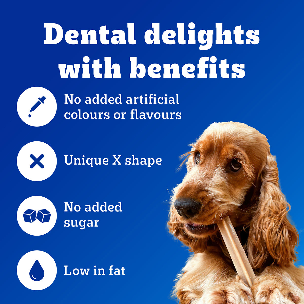 Pedigree Dentastix Oral Care for Adult (Large Breed of 25 kg+) Dog Treats image 3