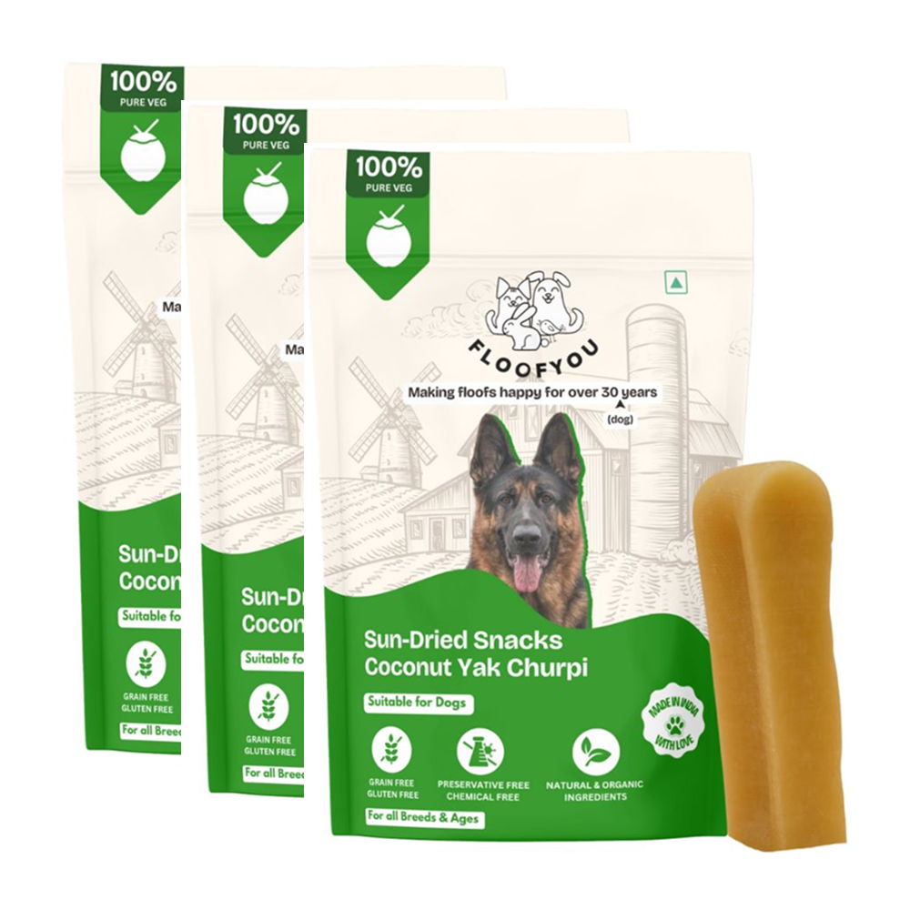 FloofYou Sun Dried Coconut Yak Churpi Chew Dogs Treat image 10