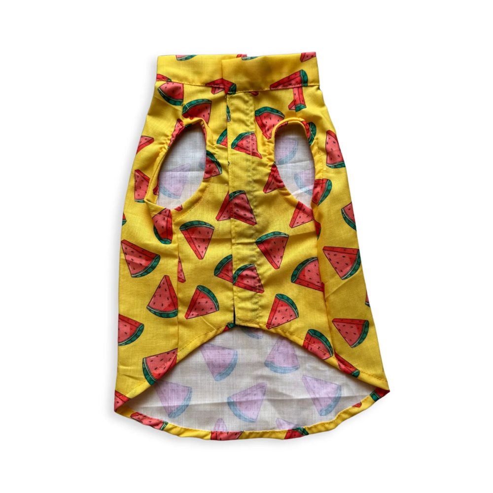 Pawgypets Watermelon sugar sando for Dogs (Yellow) image 4