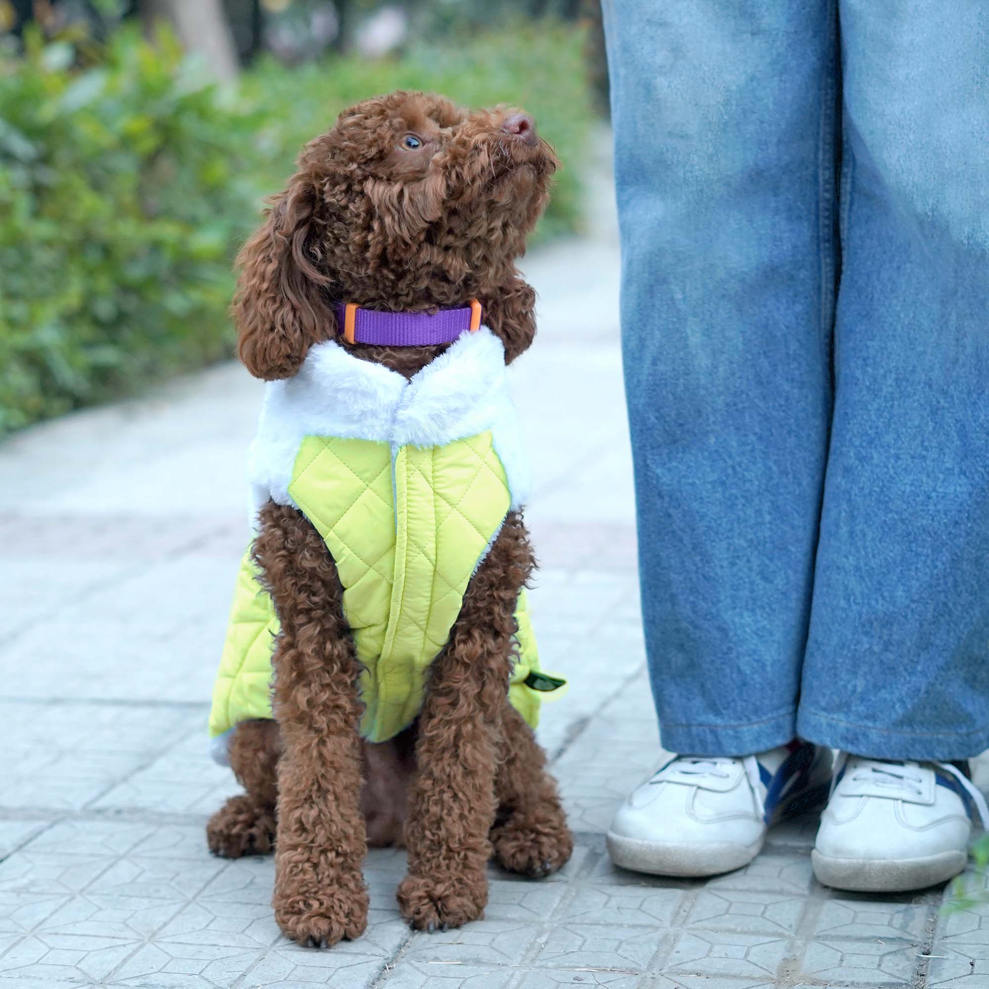 Pets Way Reversible Cozy Quilt Fur Winter Jacket for Dogs (Yellow) image 1