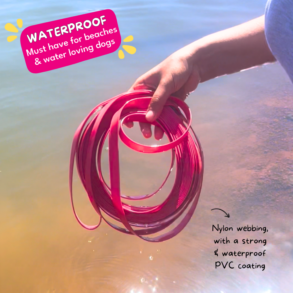 For The Love Of Dogs Long Lines Leash for Dogs (Hot Pink) image 6