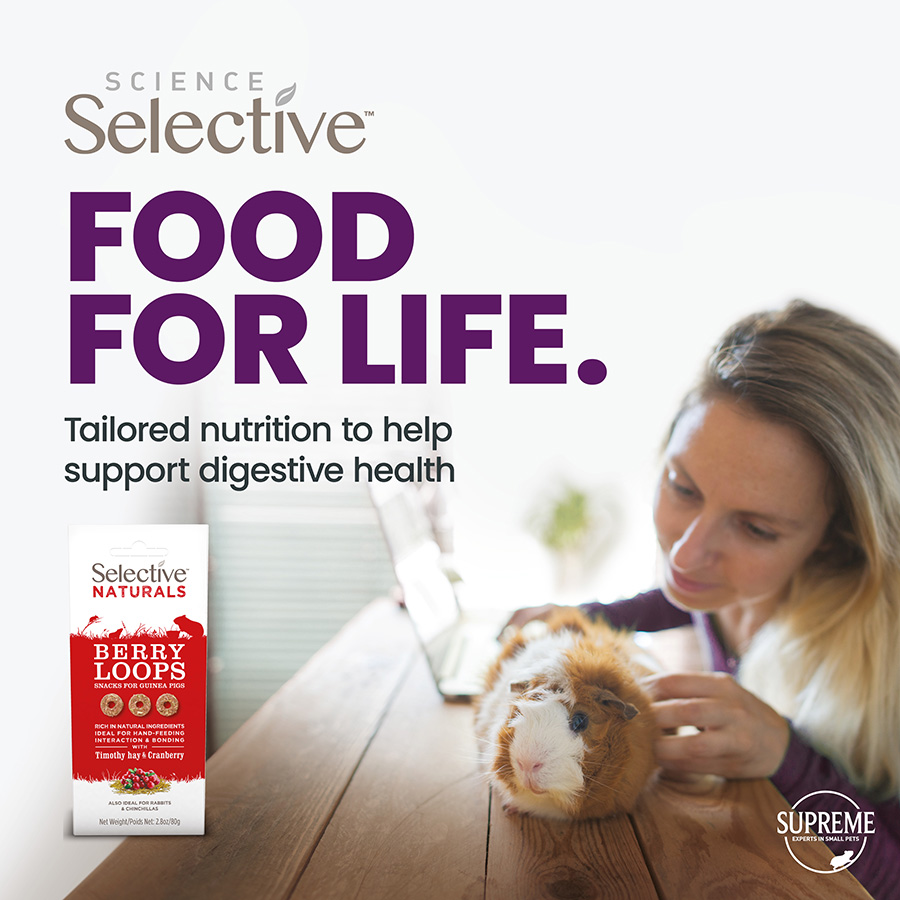 Selective Naturals Berry Loops for Guinea Pigs image 2