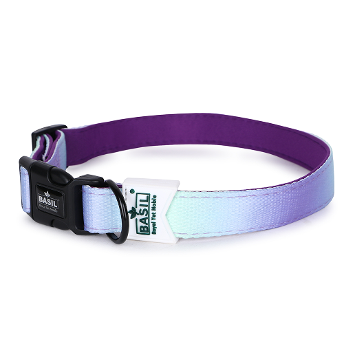 Basil Adjustable Padded Collar for Dogs (Purple/Blue) image 2
