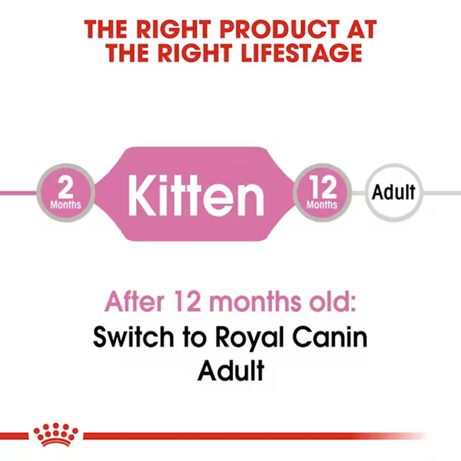 Royal Canin Kitten Loaf Cat Wet Food image 3
