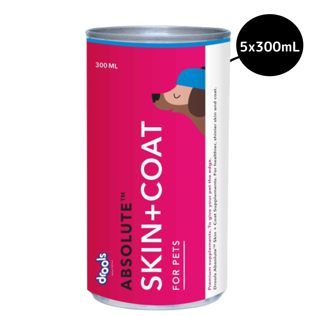 Drools Absolute Skin & Coat Syrup Supplement for Dogs image 7