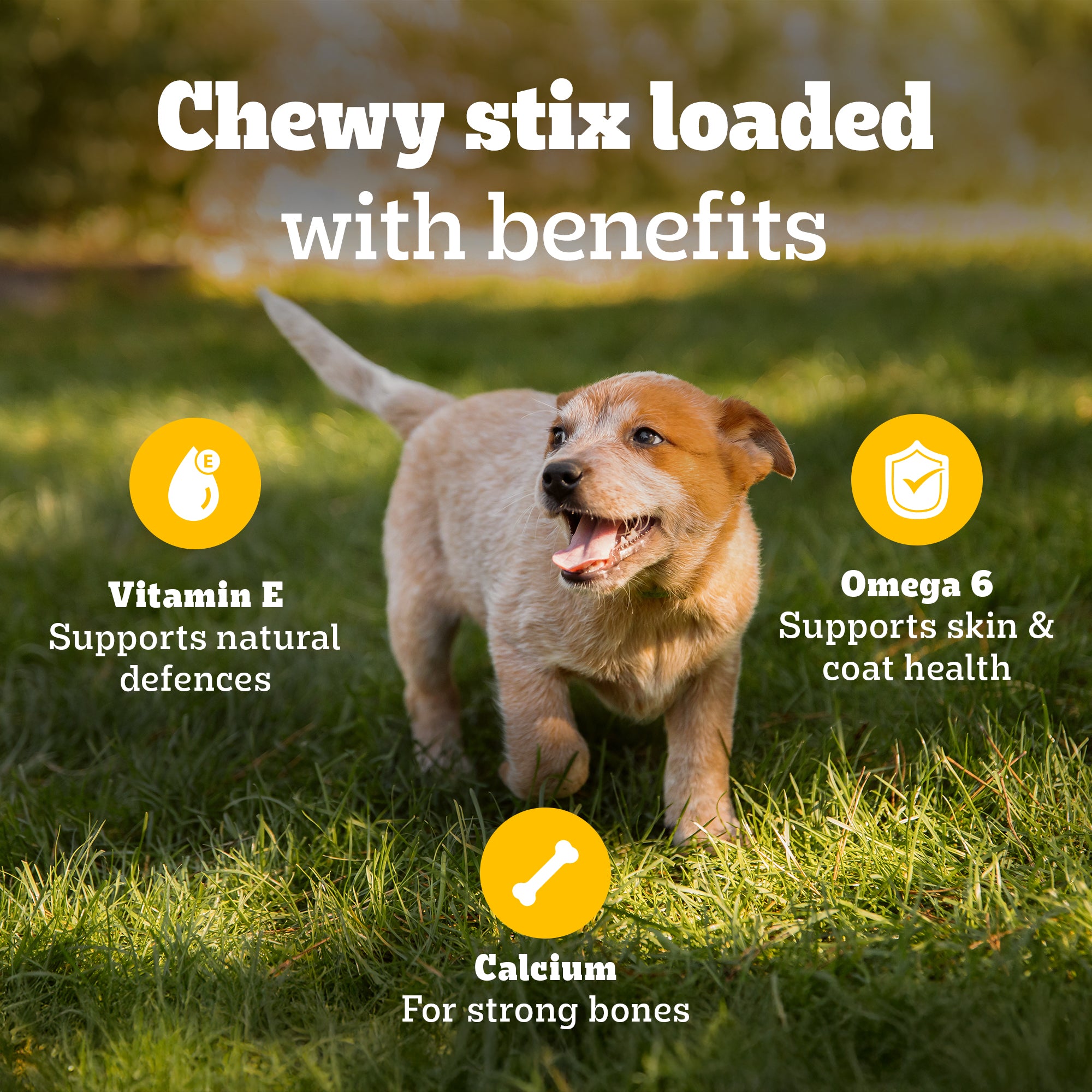 Pedigree Schmackos Stix Milk & Egg Flavour Puppy Dog Treat image 8