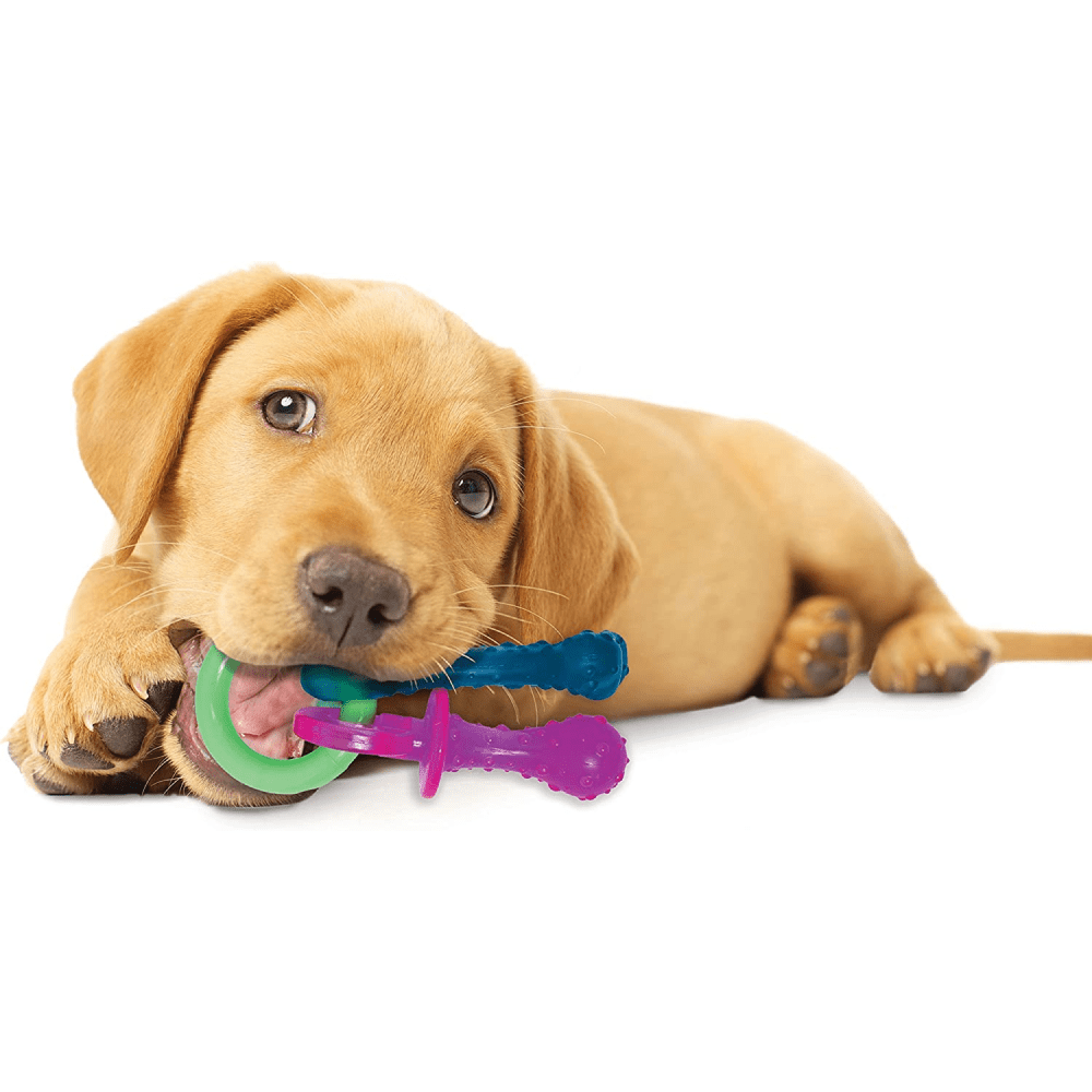 Nylabone Puppy Teething Bacon Flavoured Pacifier Toy for Dogs (Blue/Pink) image 4