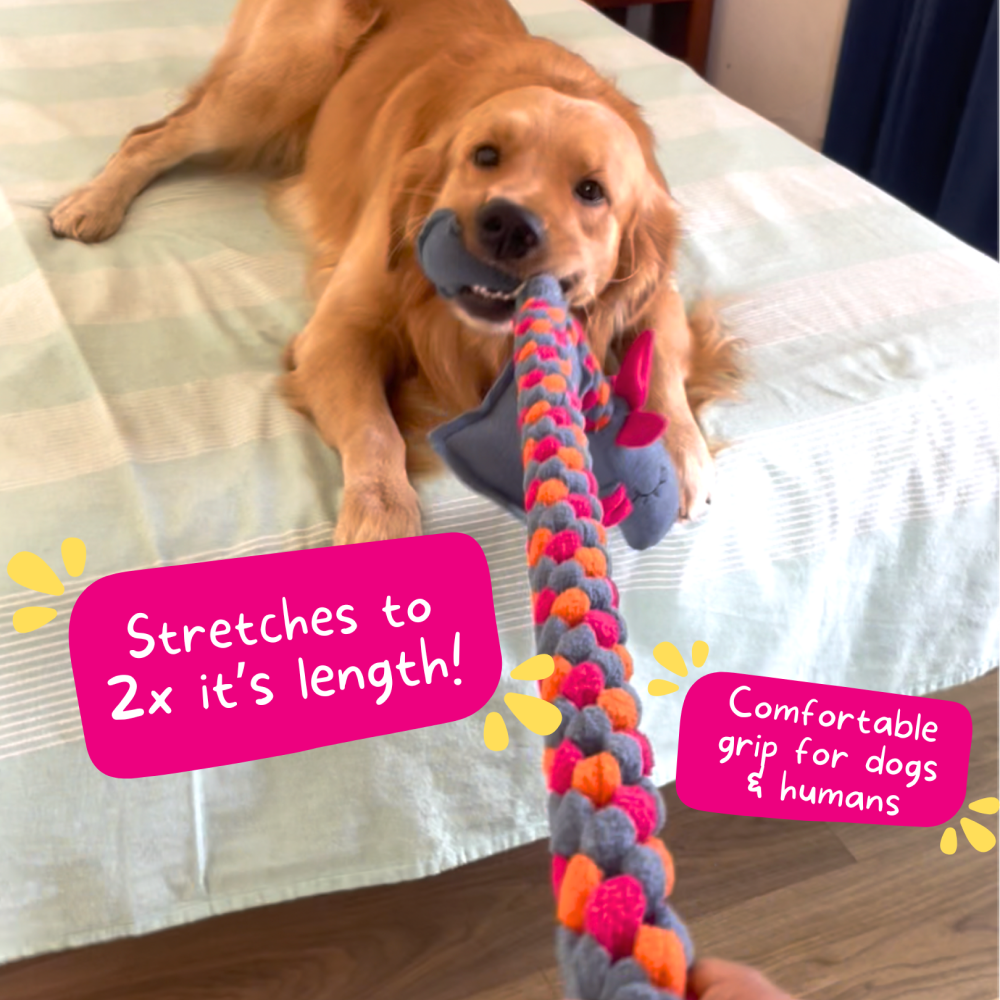 For The Love Of Dog Mrs Tugasaur Squeaky Toy for Dogs (Pink/Green/Grey) image 4
