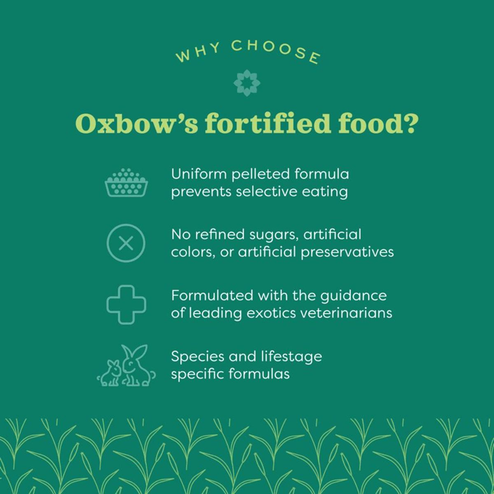 Oxbow Essentials Dry Food for Adult Rabbits image 4