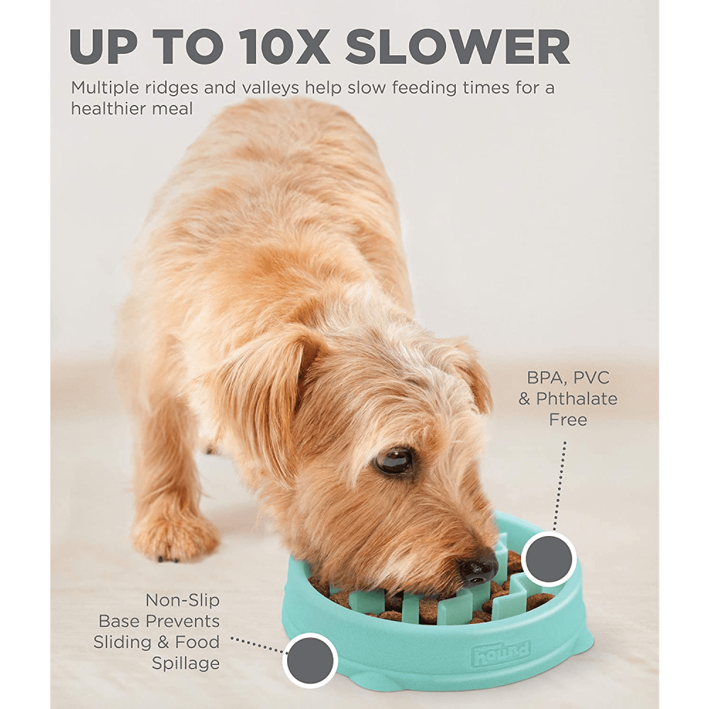 Outward Hound Fun/Slow Feeder for Dogs (Green) image 4